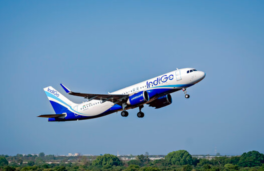 indigo flight